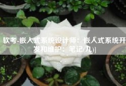 软考-嵌入式系统设计师：嵌入式系统开发和维护：笔记(九)]