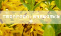 百度竞价托管软件：提升营销效率的利器