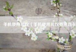 手机使用礼仪（手机使用礼仪要注意）