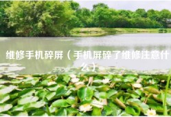 维修手机碎屏（手机屏碎了维修注意什么）