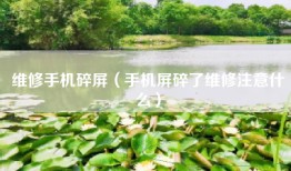 维修手机碎屏（手机屏碎了维修注意什么）