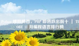 Python 蝉联榜首，PHP 即将跌出前十 ｜ TIOBE 11 月编程语言排行榜