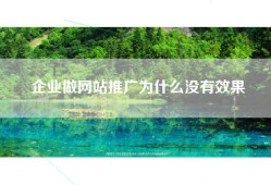 企业做网站推广为什么没有效果