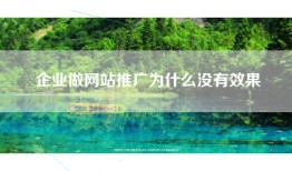 企业做网站推广为什么没有效果