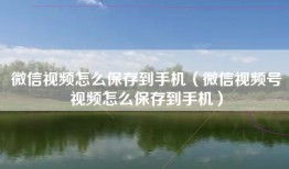 微信视频怎么保存到手机（微信视频号视频怎么保存到手机）
