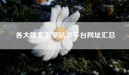 各大搜索引擎站点平台网址汇总