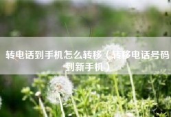 转电话到手机怎么转移（转移电话号码到新手机）