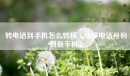 转电话到手机怎么转移（转移电话号码到新手机）
