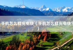 手机怎么样充电快（手机怎么样充电快？）