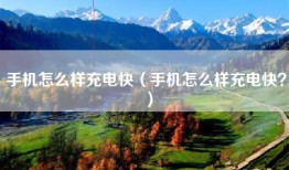 手机怎么样充电快（手机怎么样充电快？）