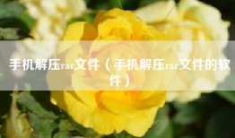 手机解压rar文件（手机解压rar文件的软件）