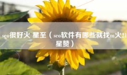 seo很好火 星至（seo软件有哪些就找m火21星赞）