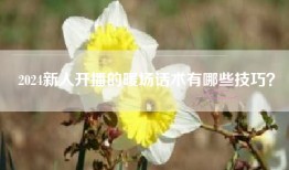 2024新人开播的暖场话术有哪些技巧？