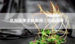 仇和往事手机查岗「仇和往事」
