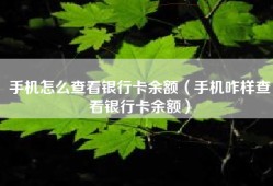 手机怎么查看银行卡余额（手机咋样查看银行卡余额）
