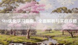 SEO优化学习指南，全面解析与实战攻略