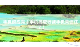 手机感应壳（手机感应器被手机壳遮住了）
