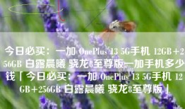 今日必买：一加 OnePlus 13 5G手机 12GB+256GB 白露晨曦 骁龙8至尊版一加手机多少钱「今日必买：一加 OnePlus 13 5G手机 12GB+256GB 白露晨曦 骁龙8至尊版」
