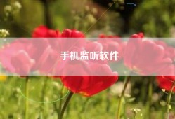 手机监听软件