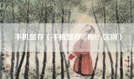 手机显存（手机显存8g和12g区别）