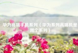 华为高端手机系列（华为系列高端机是哪个系列）
