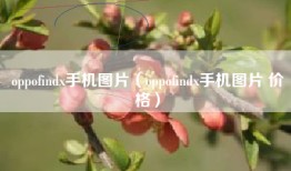 oppofindx手机图片（oppofindx手机图片 价格）