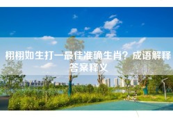 栩栩如生打一最佳准确生肖？成语解释答案释义