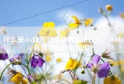 什么是abs业务的详细解释是什么？abs业务的发展趋势如何？