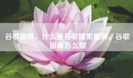 谷歌留痕，什么是谷歌搜索留痕，谷歌留痕怎么做