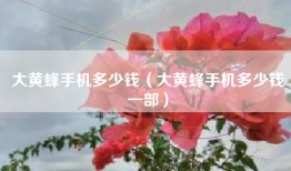 大黄蜂手机多少钱（大黄蜂手机多少钱一部）