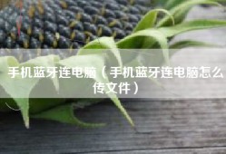 手机蓝牙连电脑（手机蓝牙连电脑怎么传文件）