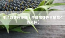 手机蓝牙连电脑（手机蓝牙连电脑怎么传文件）