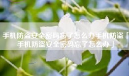 手机防盗安全密码忘了怎么办手机防盗「手机防盗安全密码忘了怎么办」