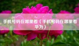手机号码在哪里看（手机号码在哪里看华为）