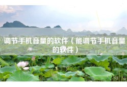 调节手机音量的软件（能调节手机音量的软件）