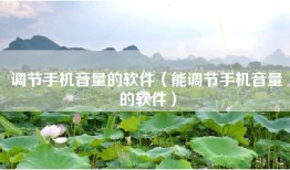 调节手机音量的软件（能调节手机音量的软件）