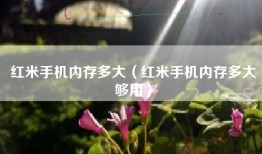 红米手机内存多大（红米手机内存多大够用）