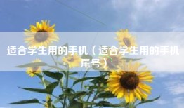 适合学生用的手机（适合学生用的手机尾号）