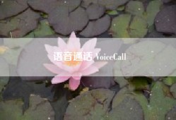 语音通话 VoiceCall