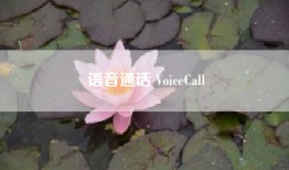 语音通话 VoiceCall