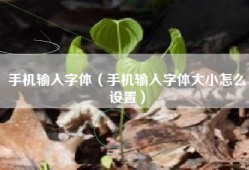 手机输入字体（手机输入字体大小怎么设置）