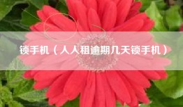 锁手机（人人租逾期几天锁手机）