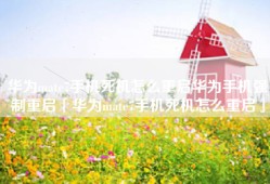 华为mate7手机死机怎么重启华为手机强制重启「华为mate7手机死机怎么重启」