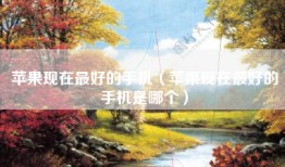 苹果现在最好的手机（苹果现在最好的手机是哪个）