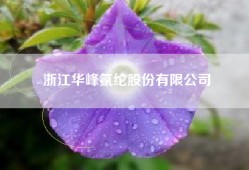 浙江华峰氨纶股份有限公司