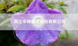 浙江华峰氨纶股份有限公司