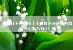 手机打不开链接（手机打不开链接的网页怎么办）