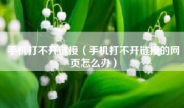 手机打不开链接（手机打不开链接的网页怎么办）