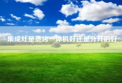 集成灶是蒸烤一体机好还是分开的好
