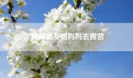 我和朋友陪妈妈去露营